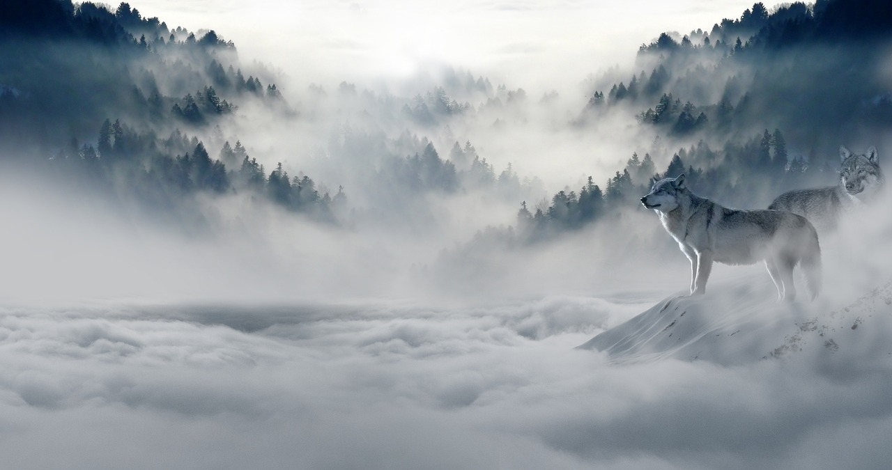 Comment vaincre la solitude lors d'un voyage solo découvrez comment le voyage en solo peut vous aider à surmonter la solitude, avec des conseils pratiques pour profiter pleinement de votre indépendance et créer des connexions authentiques.