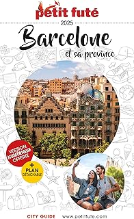 Guide Barcelone Et Sa Province 2025 Petit Futé (2025)