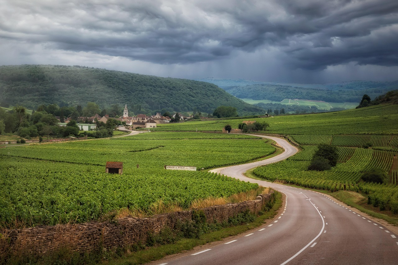 écotourisme en France : découvrez les meilleures destinations durables découvrez l'écotourisme en france : explorez des destinations durables, vivez des expériences respectueuses de l'environnement et profitez de la nature préservée à travers des activités responsables.