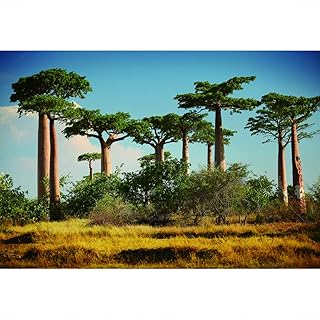 Yongfoto 3x2m Paysage Naturel Photographie Toile de Fond Énormes Baobabs Fond de Terre Sèche Madagascar Savane Africaine Vacances Voyage Attractions Photo pour Adultes Enfants Portrait Shoot Props